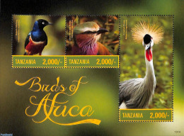 Tanzania 2015 Birds Of Africa 3v M/s, Mint NH, Nature - Birds - Tanzanie (1964-...)
