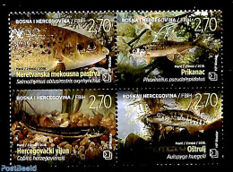 Bosnia Herzegovina - Croatic Adm. 2018 Fish 4v [+], Mint NH, Nature - Fish - Fishes