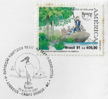 Brazil 2001 Cover With Commemorative Postmark Cancel Bird Jabiru Jaburu Tuiuiu Animal Fauna Campo Grande Pantanal - Cigognes & échassiers