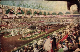 CPA London England, International Horse Show, Olympia, 1929 - Sonstige & Ohne Zuordnung