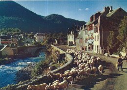 [65] Hautes Pyrénées > Arreau Les Bords De La Neste Vallee D' Aure - Other & Unclassified