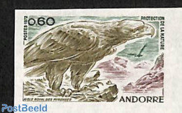 Andorra, French Post 1972 Nature Protection 1v, Imperforated, Mint NH, Nature - Birds - Birds Of Prey - Ungebraucht