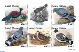 Guinea Bissau 2023 Pigeons, Mint NH, Nature - Birds - Pigeons - Guinée-Bissau