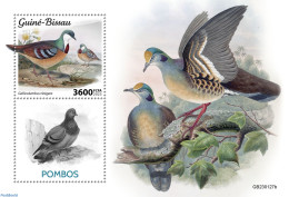 Guinea Bissau 2023 Pigeons, Mint NH, Nature - Birds - Pigeons - Guinée-Bissau