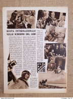 Film Nidiata Carey Giocatore Scacchi Monkey Into Man Illustrazione Cinema 1938 - Sonstige & Ohne Zuordnung