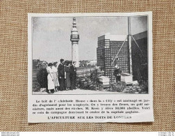 Londra Nel 1936 L'apicoltura Sui Tetti Regno Unito - Otros & Sin Clasificación