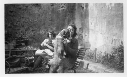 Photographie Photo Vintage Snapshot Animaux Chien Dog Chat Cat  - Sonstige & Ohne Zuordnung