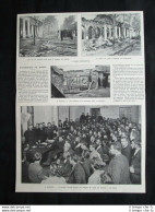 Russia - Saratof:sinagoga Incendiata - Mosca:corpo Dei Contadini Stampa Del 1905 - Altri & Non Classificati
