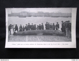 Pellegrino Pescato Da Una Barca Di Sardine Di Concarneau, 5-6 Maggio 1907 - Other & Unclassified