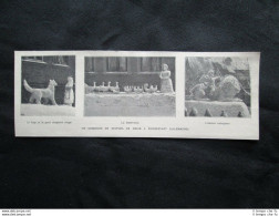 Concorso Di Statue Di Neve A Duderstadt (Germania) Stampa Del 1905 - Autres & Non Classés