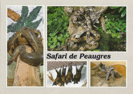 *CPM - 07- PEAUGRES - SAFARI - Serpents, Reptiles, Chauve Souris-  Anaconda, Boa Constrictor, Roussettes, Vipère Heurtan - Autres & Non Classés