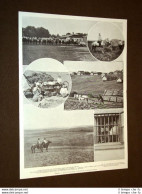 Russia 1906 Agitazione Agraria Campo Del Conte Orlow Denisow Occupato Cosacchi - Otros & Sin Clasificación