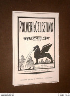 Rara Pubblicità Dei Primi Del 1900 Polveri San Celestino Carlo Erba - Autres & Non Classés