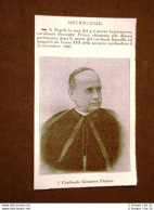 Necrologio Del 1923 Il Cardinale Di Napoli Giuseppe Prisco - Altri & Non Classificati