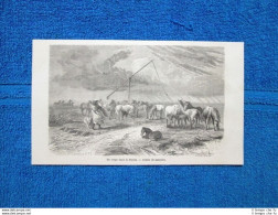 Gravure Année 1865 - Un Orage Dans Le Puszta - Una Tempesta Nella Puszta - Avant 1900