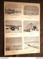La Spedizione In Groenlandia Professore Adolf Erik Nordenskiöld Nel 1887 - Before 1900