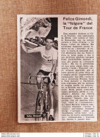 Il Ciclismo Nel 1966 Felice Gimondi La Folgore Del Tour De France - Otros & Sin Clasificación