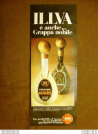 Grappa Napoleon E Grappamenta Ilva Di Saronno Pubblicità Vintage Anni '70 - Other & Unclassified