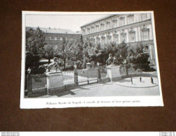 Il Palazzo Reale Di Napoli Nel 1920 Cavalli Di Bronzo - Autres & Non Classés