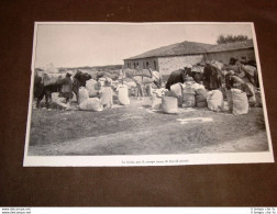 Valona O Vlora Nel 1913 Farina Campo Turco Di Giavid Pascià Guerra In Albania - Otros & Sin Clasificación