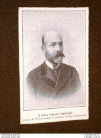 Dott.Scipione Sandrinelli Nel 1908 Podestà Di Trieste - Autres & Non Classés