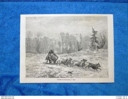 Gravure Année 1862 - Attelage De Chiens - Cani Da Slitta - Before 1900