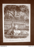 Bodh Gaya Nel 1863 Statua Del Buddha Albero Sacro E Mensola Tavola Offerte India - Vor 1900