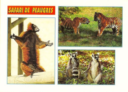 *CPM - 07 - PEAUGRES - SAFARI - Maki-Vari Roux, Tigres, Maki-Catta - Andere & Zonder Classificatie