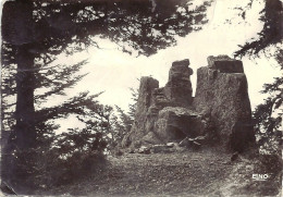 *CPSM - 07 - LA  LOUVESC - Les Rochers De Rochelipe - La Louvesc