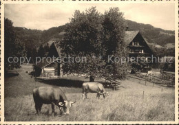 11630487 Hemberg SG Pension Stocken Kuehe Hemberg SG - Other & Unclassified