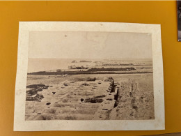 Tunisie 2 Photo Albumens Carthage - Oud (voor 1900)