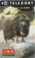 Denmark, KS 045, Zoo 2-muskes Ox,  50  Kr, Only 3.500 Issued, 2 Scans. - Denmark