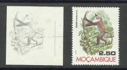 Mozambique 1976 Preuve De Couleur Singe Bleu Cercopithecus Mitis Moçambique 1976 Color Proof Blue Monkey - Scimmie