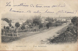 CORBELIN Vue Générale - Corbelin