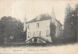CORBELIN Château De Pourraz - Corbelin