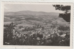 10 BEPT 48 : édit. Cim : Le Malzieu Ville Vue Générale " Cure D'air Très Fréquentée " - Otros & Sin Clasificación