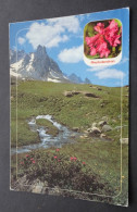 Images De Chez Nous - En Montagne, Le Rhododendron - Editions EDY, Chambéry - Autres & Non Classés