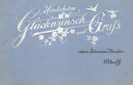 ILLUSTRATION, BIRDS, LETTER, FLOWERS, SWITZERLAND, EMBOSSED POSTCARD - Ohne Zuordnung