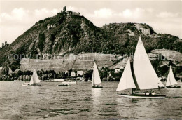 73097033 Drachenfels Segelregatta Drachenfels - Koenigswinter