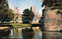 R064261 Wells Cathedral From The Moat. Salmon - World