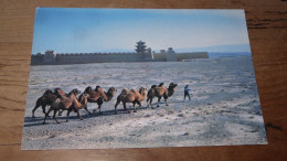 CHINA - Jiayu Pass   ............... BE2-G1408 - Chine