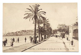 CPA - 06.Cannes. Promenade De La Croisette Et Le Mont Chevalier - Cannes