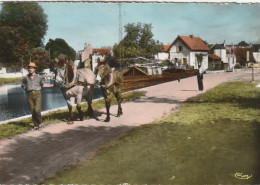 58 CPA CLAMECY HALAGE D UNE PENICHE SUR LE CANAL DU NIVERNAIS - Clamecy