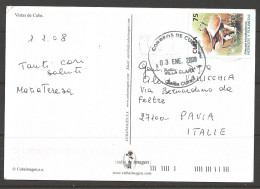Postcard Mailed From Cuba To Pavia Italy 2008 03 ENE, Mushroom - 2001-10: Marcophilia