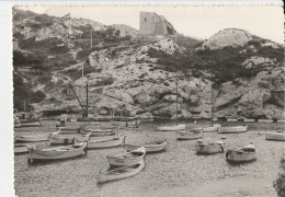 CPSM 13  MARSEILLE NIOLON CALANQUE  LA DOUANE !!! - Quatieri Sud, Mazarques, Bonneveine, Pointe Rouge, Calanques