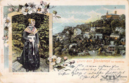 Gruss Aus Blankenese Mehrbild Litho Gel.1902 AKS - Blankenese