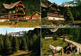 73091656 Badgastein Alpenhaus Prossau Pferdekutsche Panorama Badgastein - Andere & Zonder Classificatie