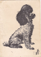 CHIENS. CPA. .DESSIN .AFFICHE EXPOSITION DAVID  KWOK. CHIEN " CANICHE NOIR ". - Hunde