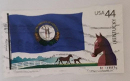 EREINIGTE STAATEN ETATS UNIS USA 2008 FLAG 21 OF OUR NATION: KENTUCKY 44¢  USED PAPER  SN 4293 YT 4176 MI 4513 SG 4969 - Usati