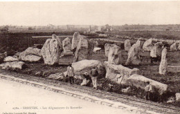 Erdeven Animée Alignements De Kerzerho Menhirs Dolmens - Erdeven